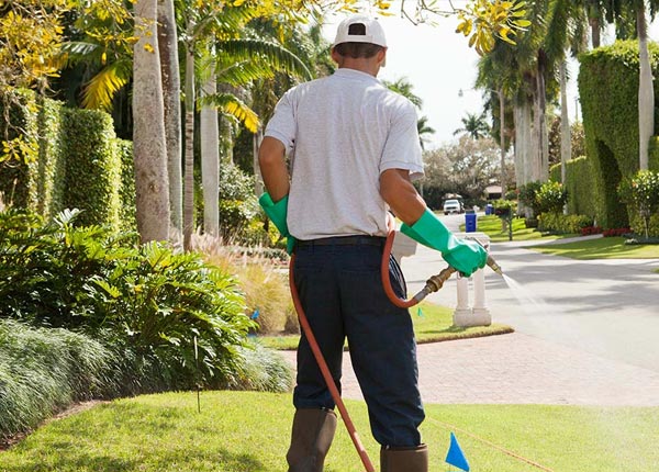 About Alturas FL Pest Control Pros